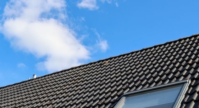 Pannendak van een woning onder een blauwe lucht